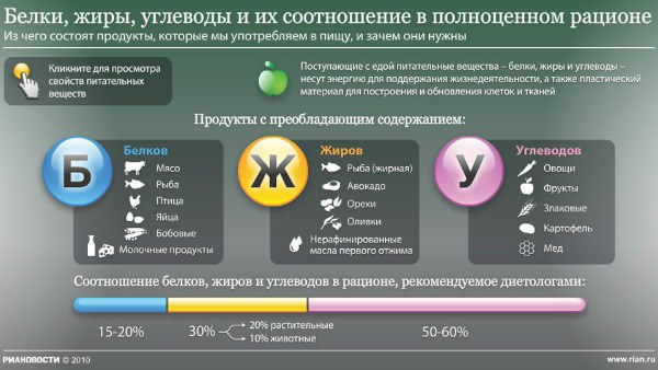 Полноценный рацион - белки, жиры и углеводы Полноценный рацион