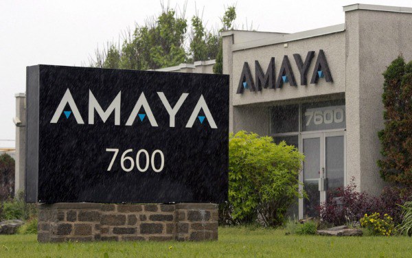 Amaya