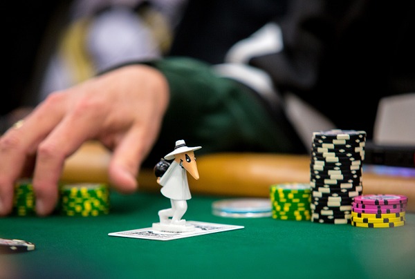 card protector