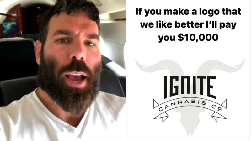 билзерян ignite билзерян